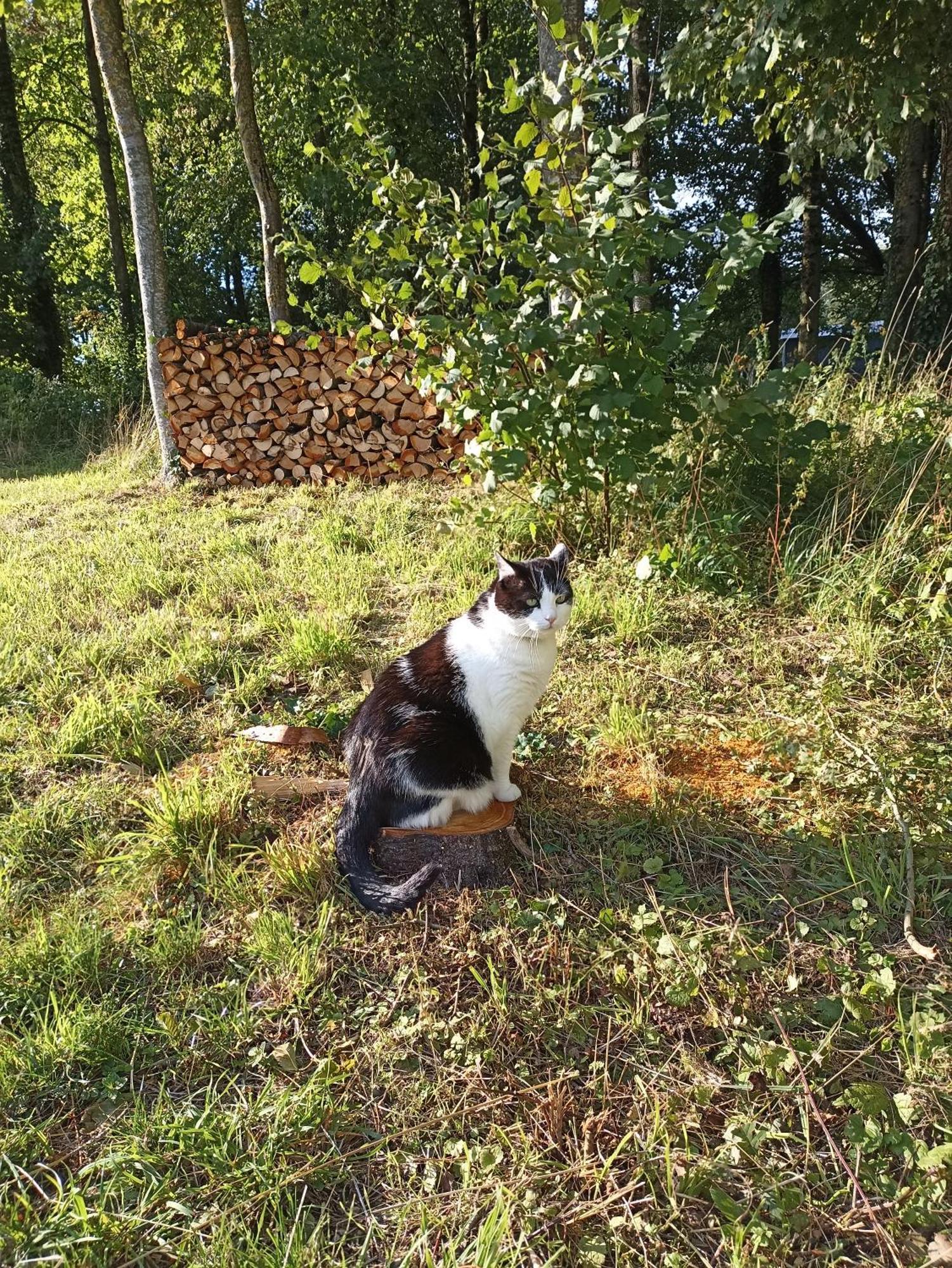Gite Nature Et Detente Aubréville Exteriör bild