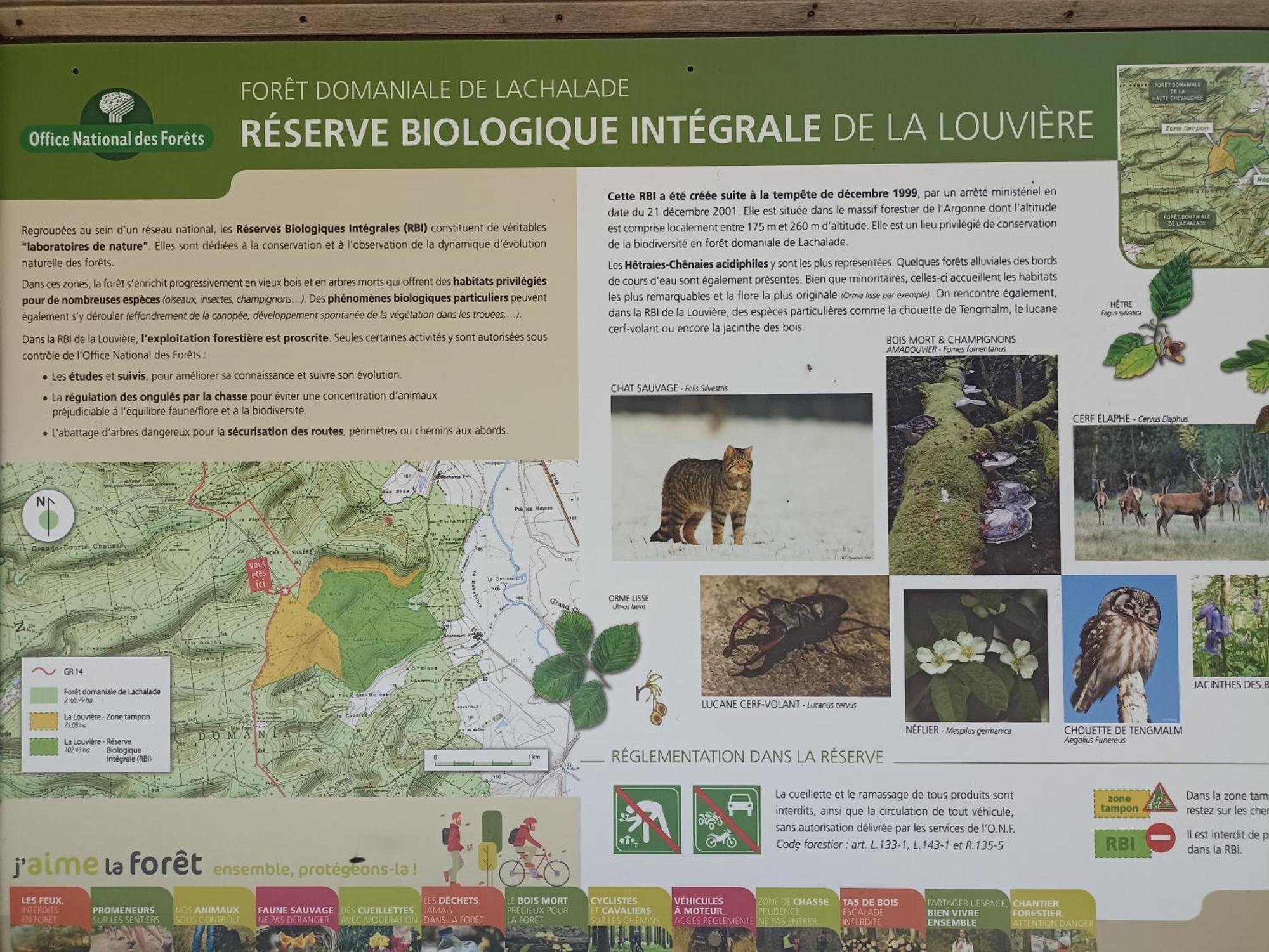 Gite Nature Et Detente Aubréville Exteriör bild