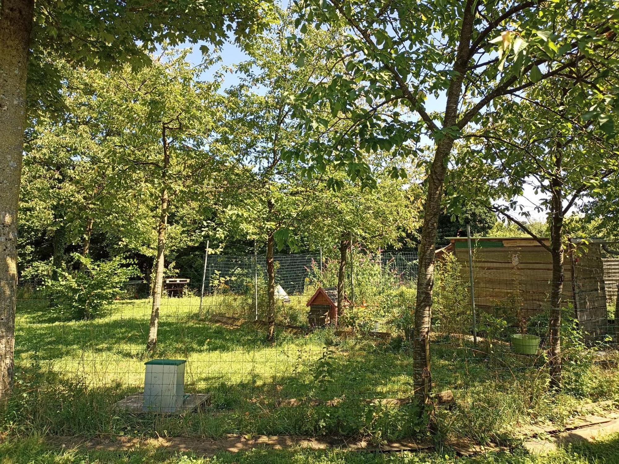Gite Nature Et Detente Aubréville Exteriör bild