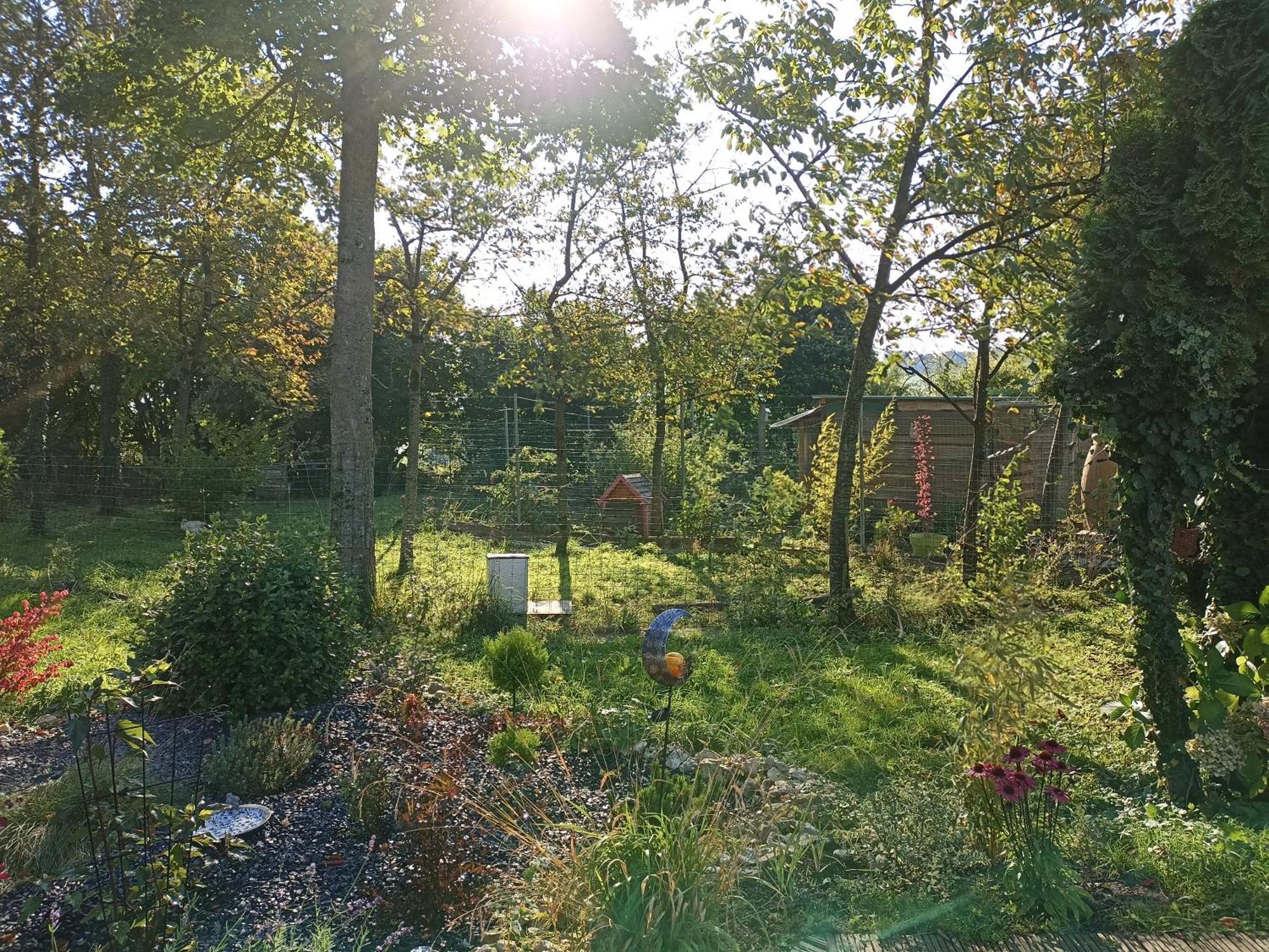 Gite Nature Et Detente Aubréville Exteriör bild